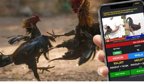 Sabong Betting at PHPGOWIN Casino Online